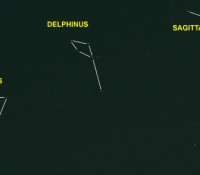 Delphinus, Equuleus and Sagitta outline