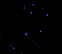 Pleaides