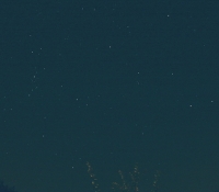 Perseus