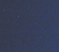 Ursa Major / Big Dipper 2007