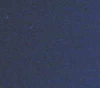 Ursa Major / Big Dipper 2007