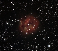IC5146 - Cocoon Nebula