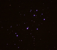 pelaides-29112007