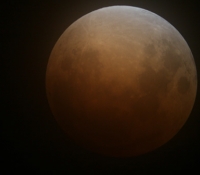 Lunar Eclipse - Feb 2008