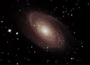 M81