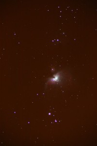 Orion Nebula