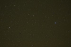 Constellation Vega